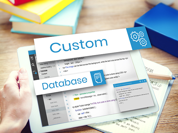 Custom-Database-Development