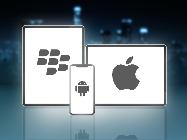 hybrid mobile app development